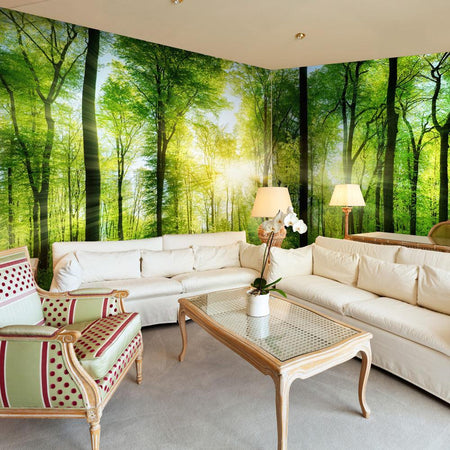 Peel and stick wall mural - Forest: Sunrise-TipTopHomeDecor