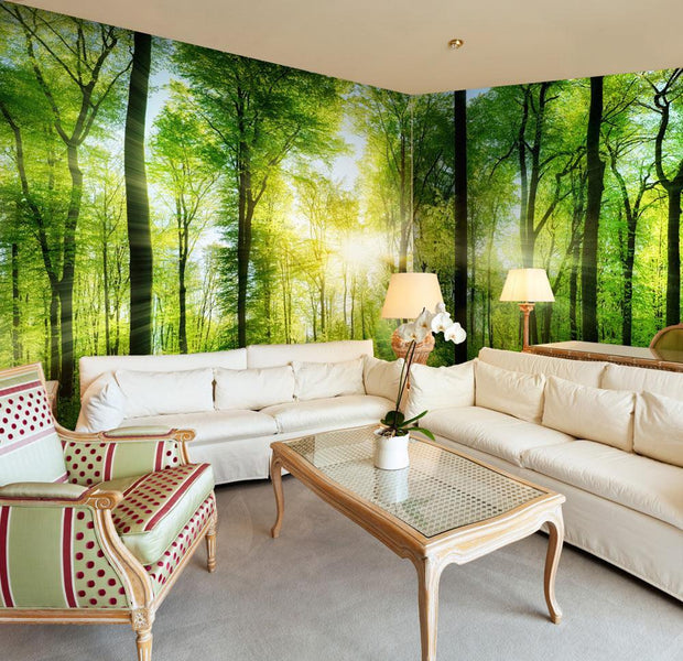 Peel and stick wall mural - Forest: Sunrise-TipTopHomeDecor