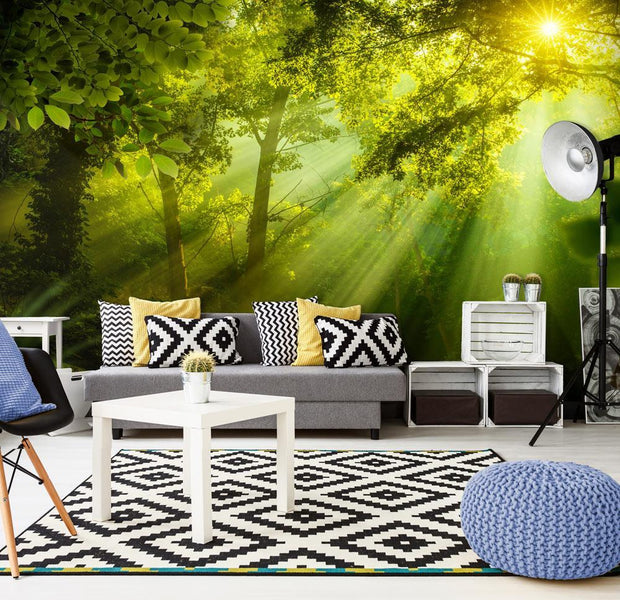 Peel and stick wall mural - In a Secret Forest II-TipTopHomeDecor