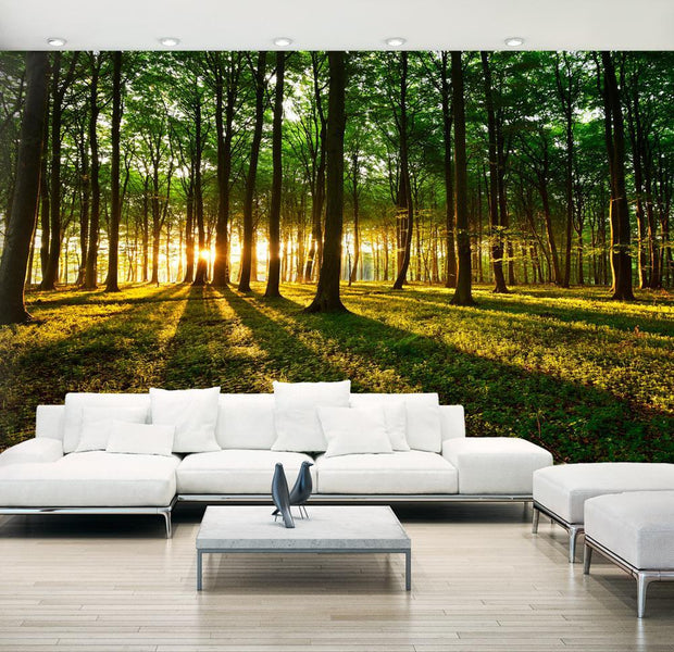 Peel and stick wall mural - Mystical Morning II-TipTopHomeDecor