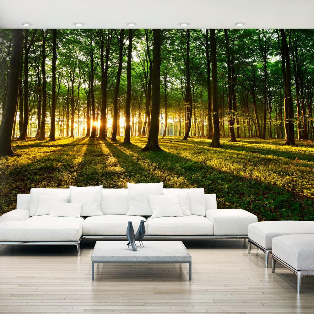 Peel and stick wall mural - Mystical Morning II-TipTopHomeDecor