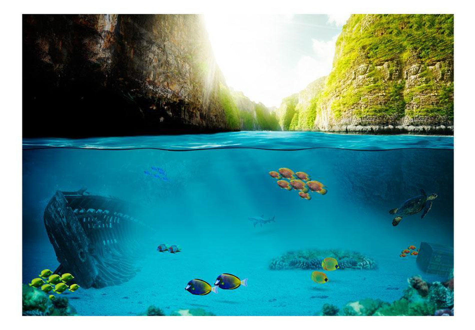 Peel and stick wall mural - Under the waterline-TipTopHomeDecor