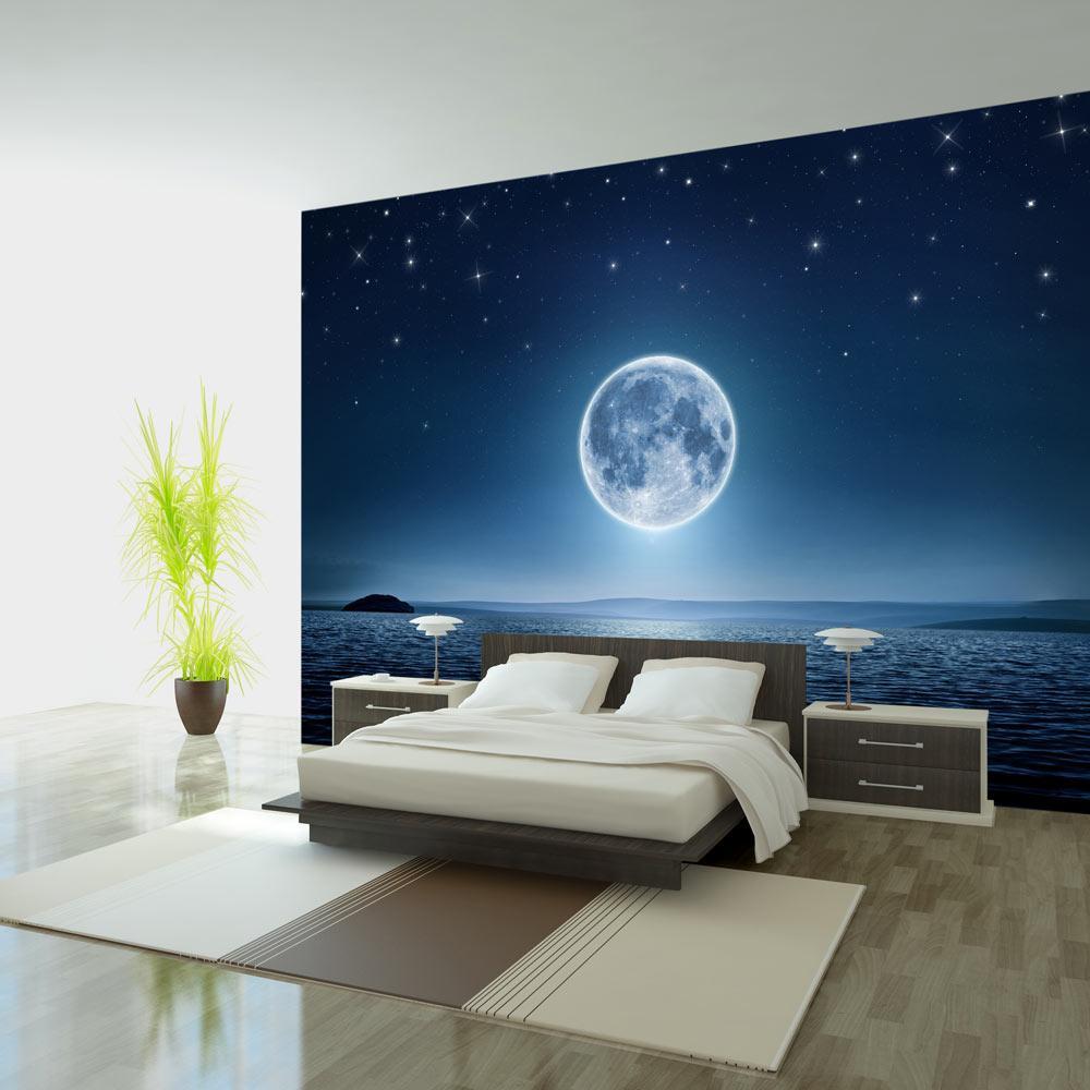 Tiptophomedecor Peel and Stick Space Wallpaper Wall Mural - Moonlit Night - Removable Wall Decals-Tiptophomedecor
