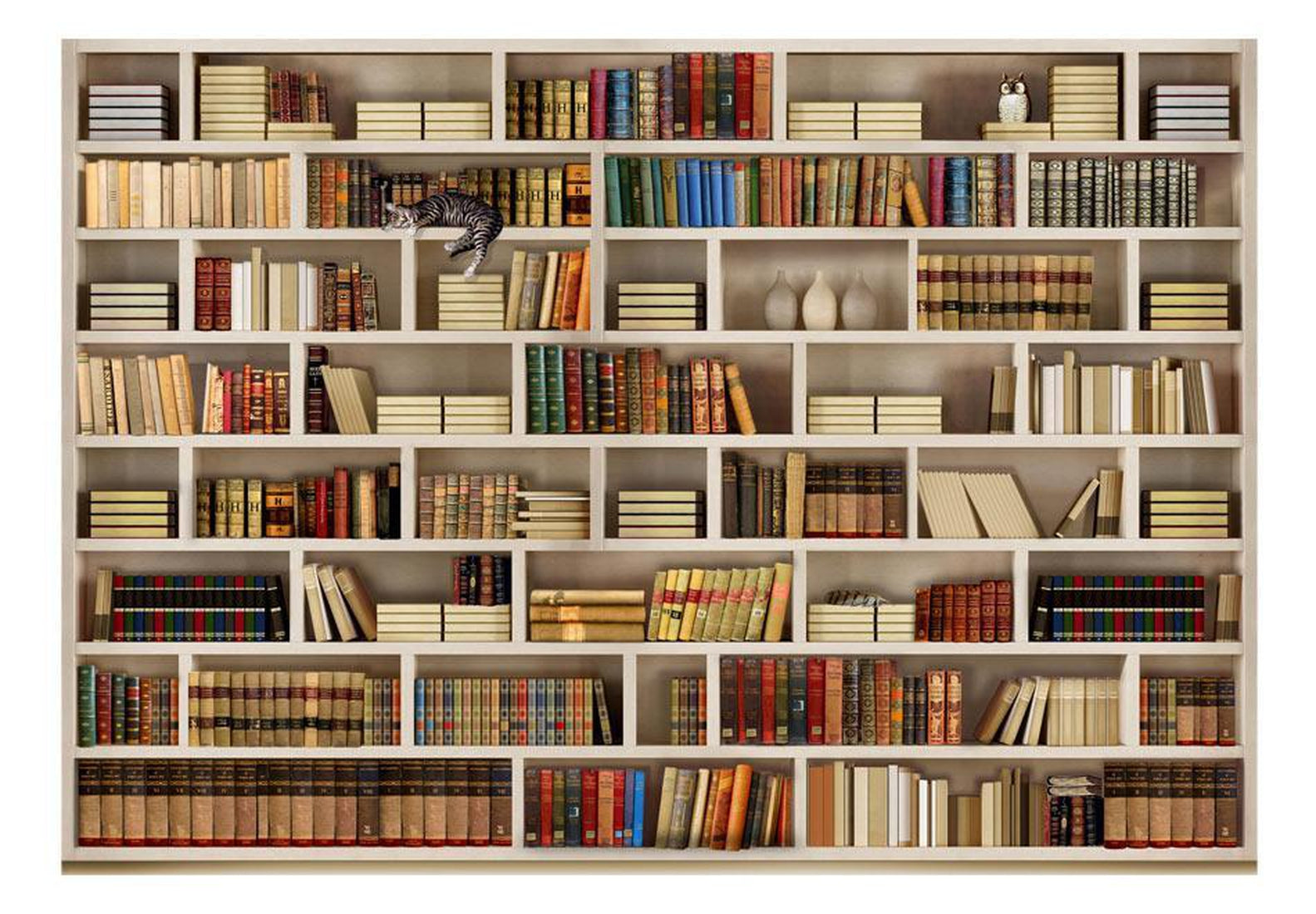 Peel and stick wall mural - Home library-TipTopHomeDecor