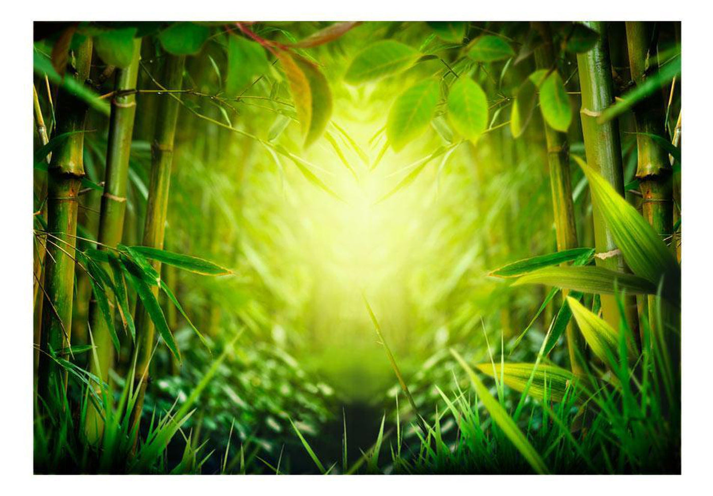Peel and stick wall mural - Forest fairy-TipTopHomeDecor