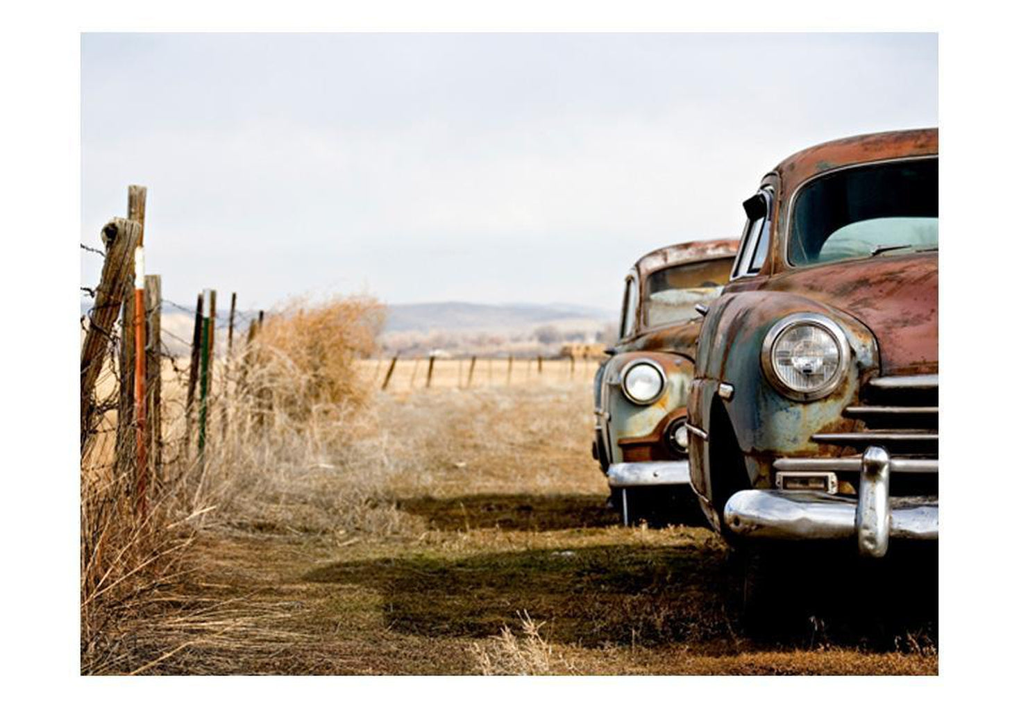 Wall mural - Two old, American cars-TipTopHomeDecor