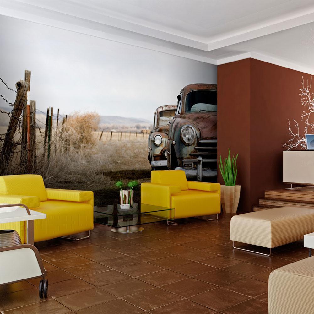 Wall mural - Two old, American cars-TipTopHomeDecor