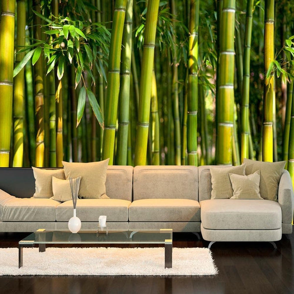 Green Bamboo Path Wallpaper Mural, Custom Sizes Available – Maughon's