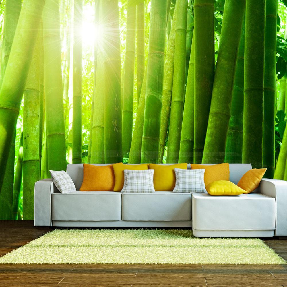 Bamboo Wallpaper & Wall Murals - U.S. Delivery